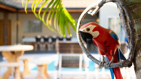 Espaço Snake River, casa de vacaciones.