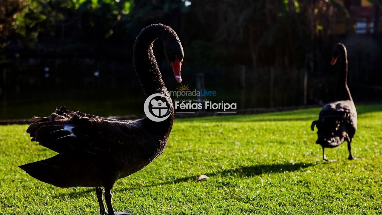 Casa para aluguel de temporada em Florianopolis (Campeche)