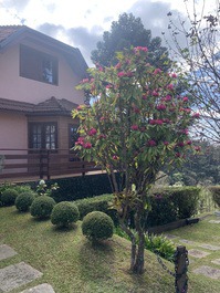 House of dreams condominium with mountain view