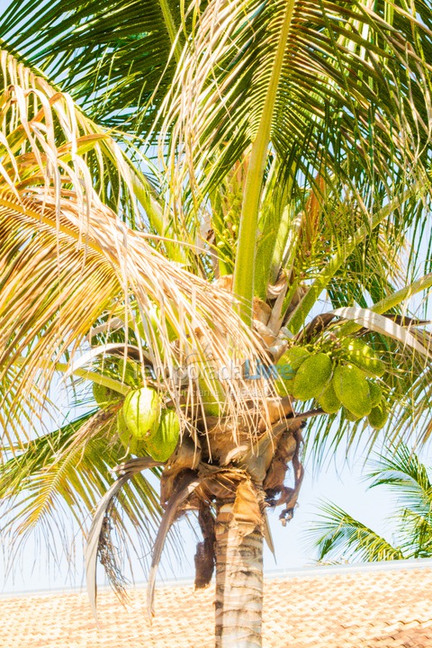 Casa para alquiler de vacaciones em Olímpia (Thermas Dos Laranjais)