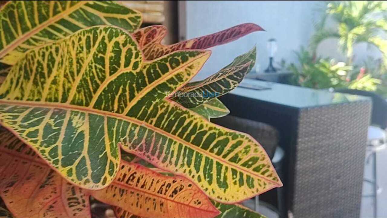 House for vacation rental in Armação dos Búzios (Praia da Ferradura)