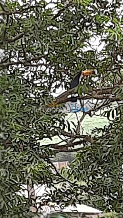 Casa para aluguel de temporada em São José da Barra (Lago de Furnas)