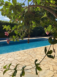 Rental of a site for weekends, holidays and events