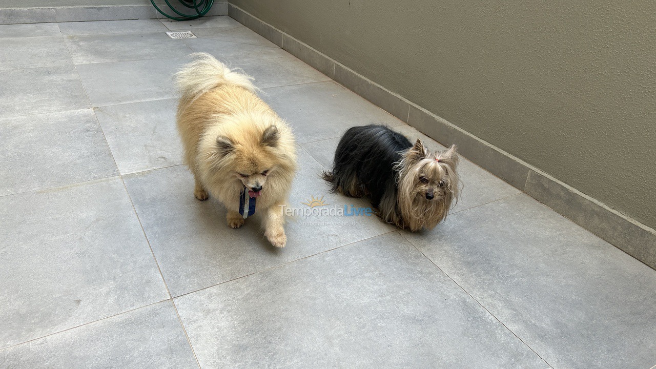 Apartment for vacation rental in Governador Celso Ramos (Praia de Palmas)