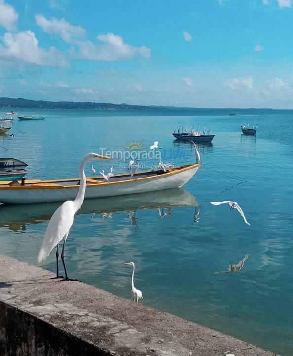 Casa para aluguel de temporada em Salinas da Margarida (Praia do Araçá)