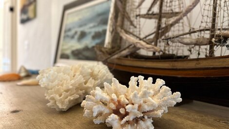 Beachfront House in Camburizinho