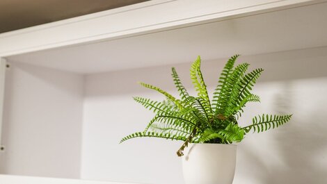 Studio Manaíra #108 - Flat em Jampa por Carpediem