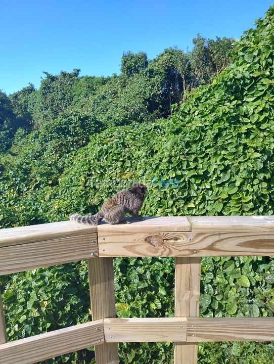 Casa para alquiler de vacaciones em Florianopolis (Campeche)