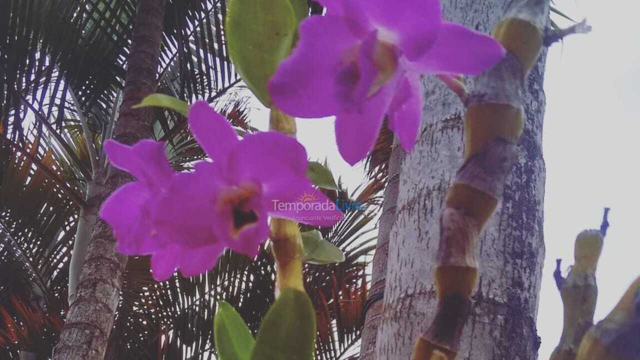 Ranch for vacation rental in Poços de Caldas (Morada dos Passaros)