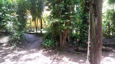 Casa da esquina dos Bambus