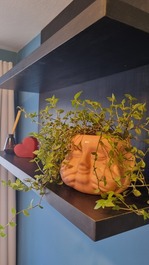 Apartamento São Lourenço (Centro)