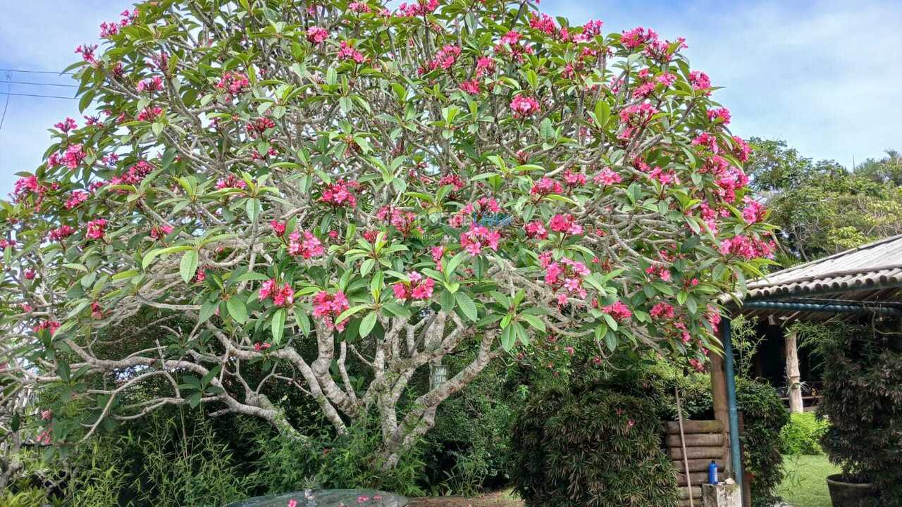 Casa para aluguel de temporada em Armação dos Búzios (Praias de Geribá E Ferradurinha)