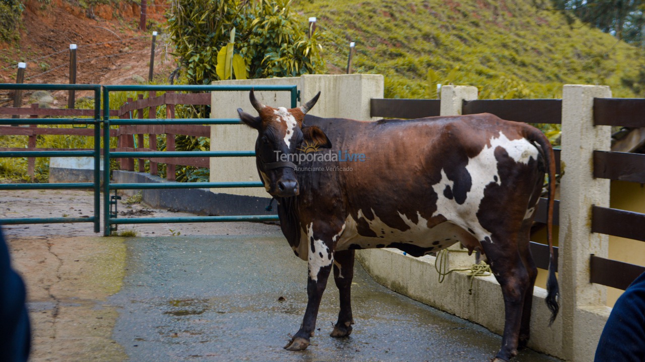 Casa para aluguel de temporada em Nazaré Paulista (Sertãozinho)