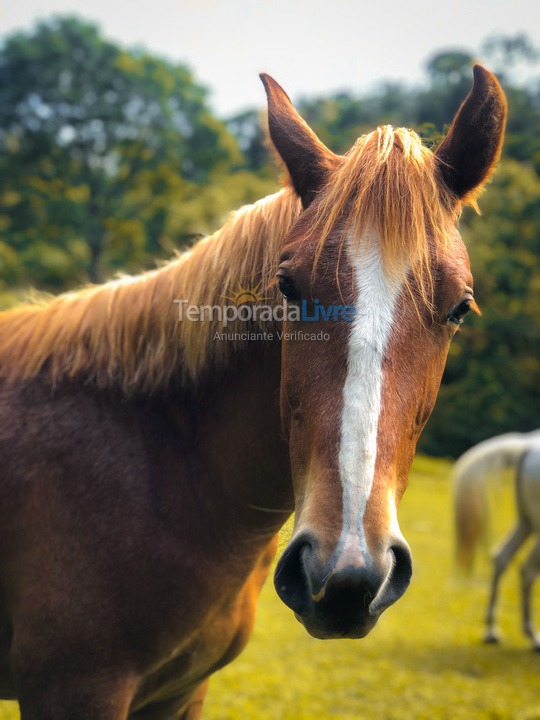 Casa para aluguel de temporada em Nazaré Paulista (Sertãozinho)