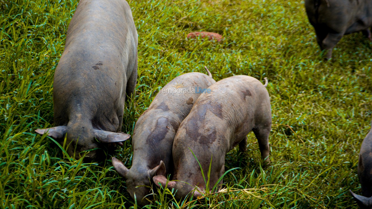 Casa para aluguel de temporada em Nazaré Paulista (Sertãozinho)
