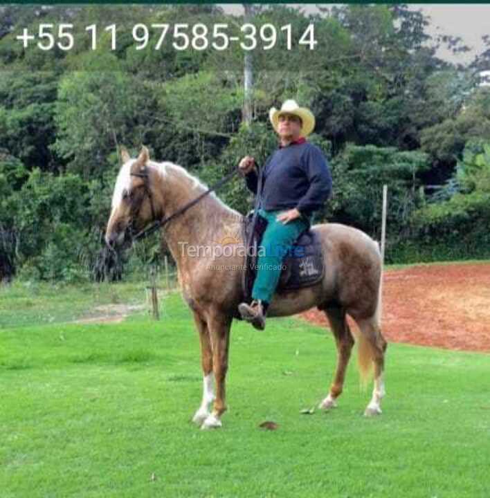 Casa para aluguel de temporada em Nazaré Paulista (Sertãozinho)