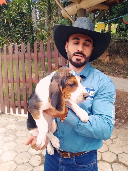 Casa para aluguel de temporada em Nazaré Paulista (Sertãozinho)