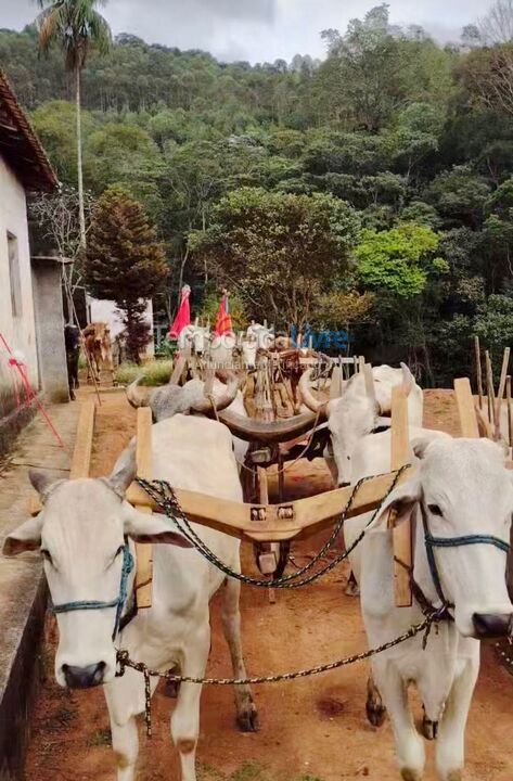 Casa para aluguel de temporada em Nazaré Paulista (Sertãozinho)