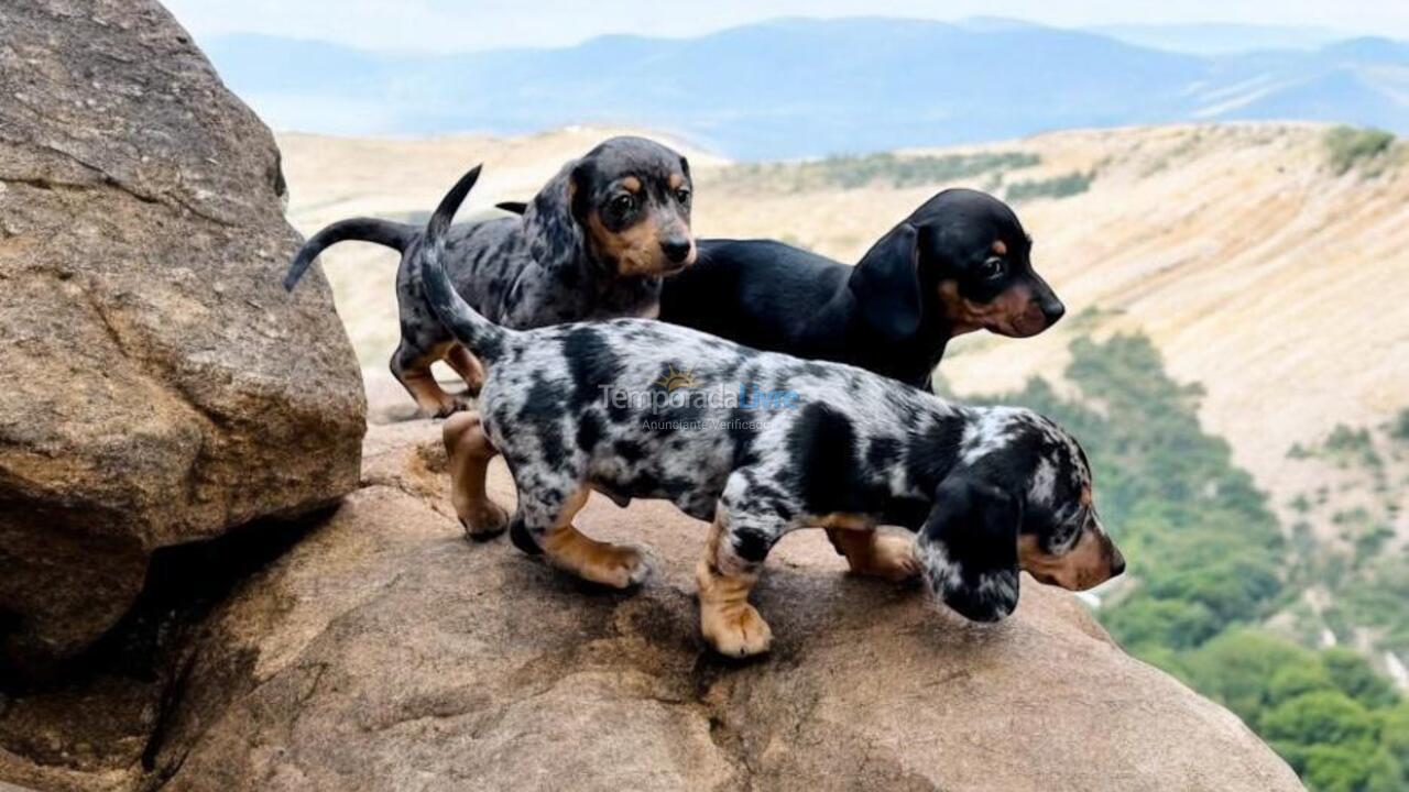 Casa para aluguel de temporada em Nazaré Paulista (Sertãozinho)