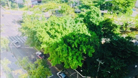 Vista ao Mar Praia Pitangueiras. Serviço de praia. Garagem