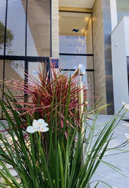 NUEVO - Mariscal - Ático dúplex con 3 suites. Se están terminando los muebles. Disponible a partir de diciembre.