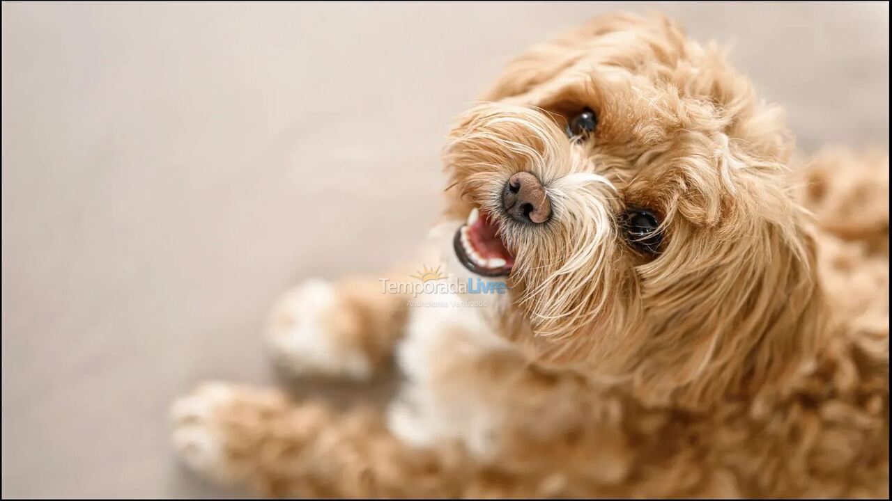 Apartamento para alquiler de vacaciones em Ipojuca (Praia de Muro Alto)