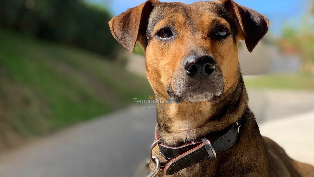 Apartment for vacation rental in Armação dos Búzios (Tucuns)