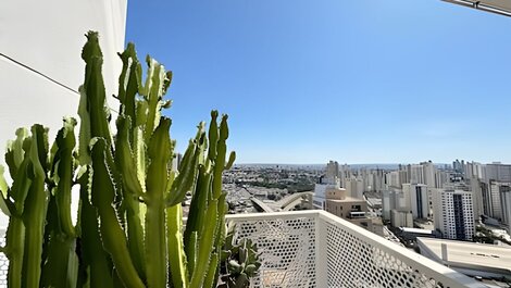 Piso Verde Sidney Jardim Goiás Goiania