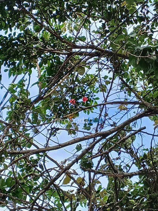Casa para alquiler de vacaciones em Praia Grande (Balneário Florida)