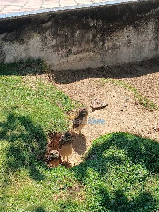 Casa para aluguel de temporada em Guarapari (Praia de Santa Monica)