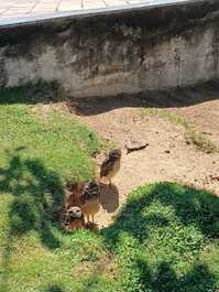 Casa de praia frente para um paraíso.