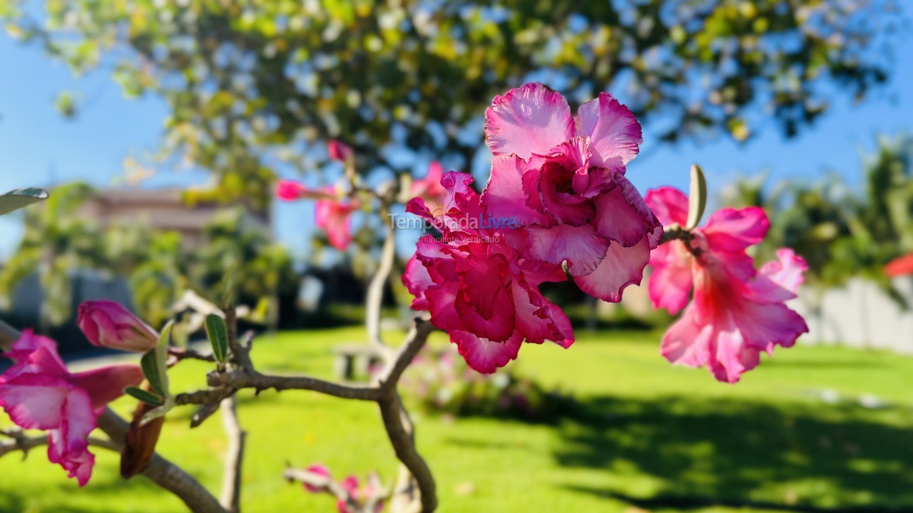 Casa para aluguel de temporada em Olímpia (Cond Primavera Bela Vis)