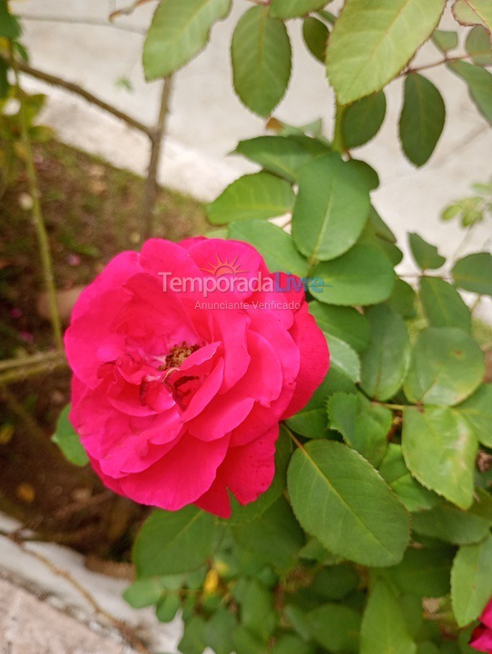 Ranch for vacation rental in Pedro de Toledo (Jardim Caju I)