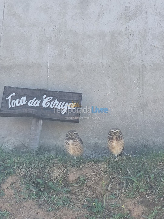 Casa para aluguel de temporada em São Roque (Pavão)