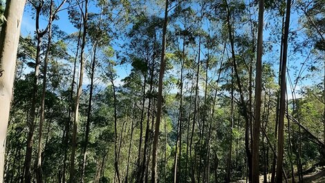 Chalé das Cerejeiras, encanto y vista increíble