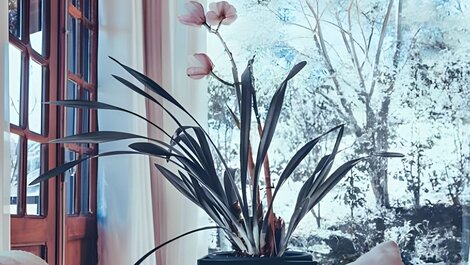 Casa de Piedra, Encanto y Confort