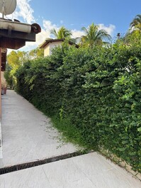 House with large pool and 200m from the beautiful beach of Boraceia 2