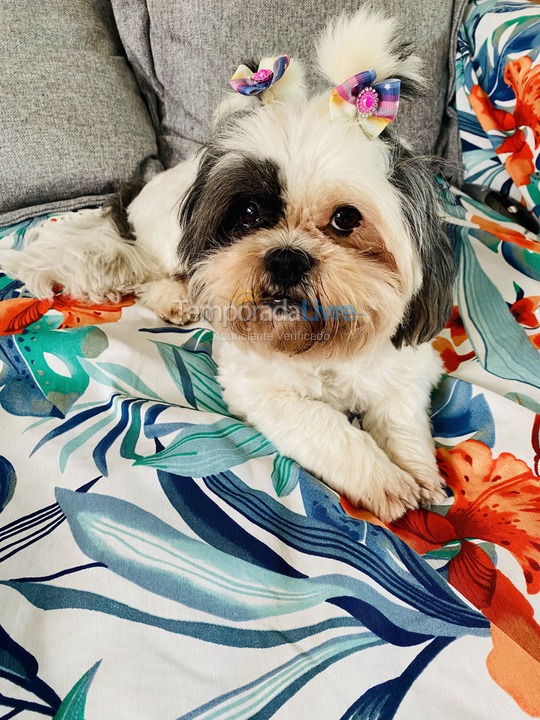 Casa para alquiler de vacaciones em São Paulo (Maresias)