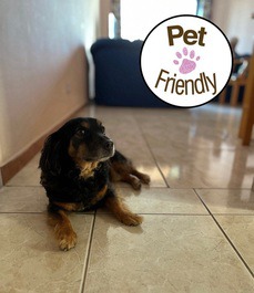 Hospedagem pet friendly