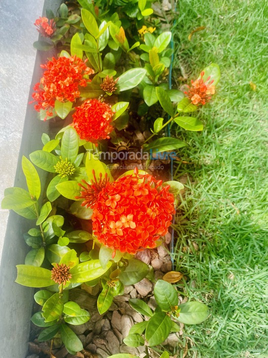 Casa para alquiler de vacaciones em São Paulo (Maresias)