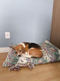 Apartamento Consolação frente al Parque Augusta