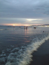EXCELLENT APARTMENT IN BUILDING FACING THE BEACH