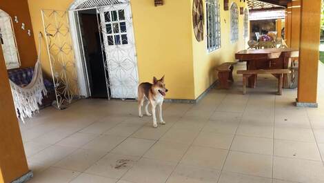 Aluguel Sítio Espaçoso 3/4 Próximo Praia Guarajuba, em Monte Gordo-Ba.