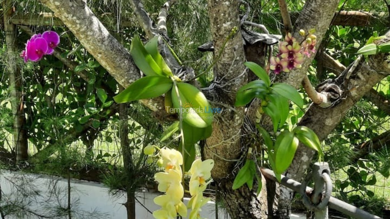 Casa para aluguel de temporada em Camaçari (Praia de Guarajuba)