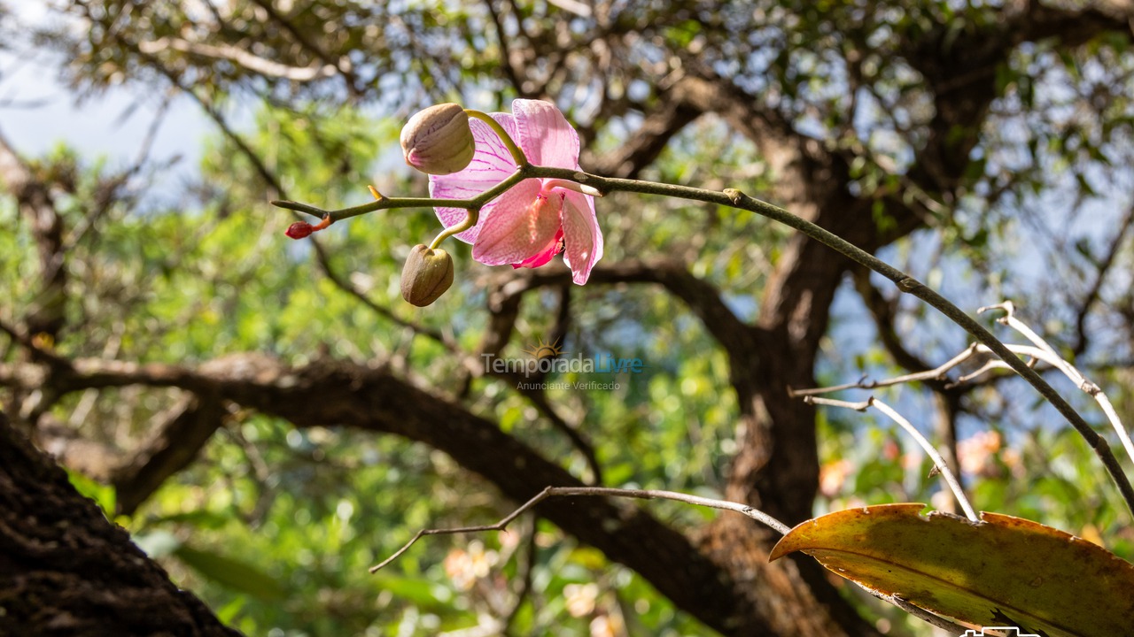 Casa para aluguel de temporada em Santa Branca (Jardim Santa Cecília)