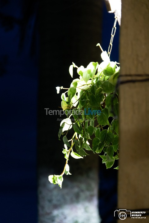 Casa para aluguel de temporada em Santa Branca (Jardim Santa Cecília)