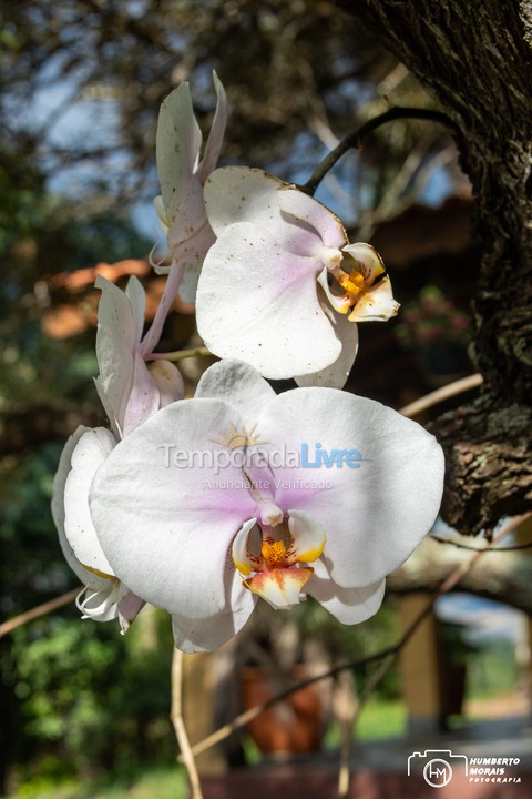 Casa para aluguel de temporada em Santa Branca (Jardim Santa Cecília)