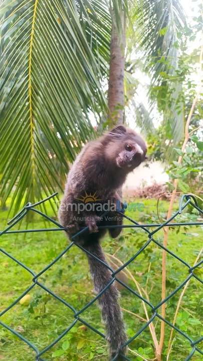 Casa para aluguel de temporada em Vera Cruz (Barra Grande)