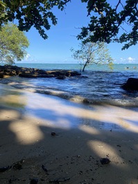 Um pedacinho de moreré 