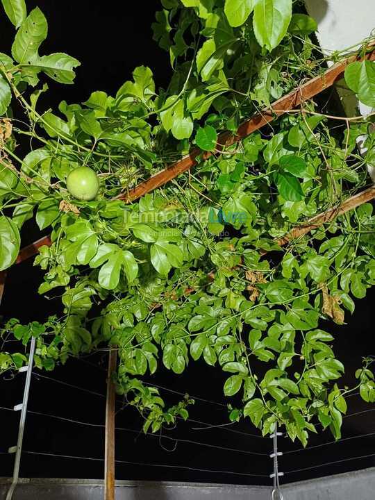 Casa para aluguel de temporada em Itanhaém (Cibratel II)